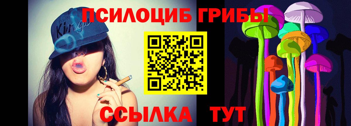 Галлюциногенные грибы мицелий Зима